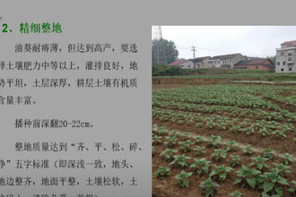 未标题-1.jpg