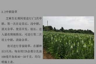 未标题-1.jpg