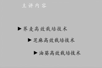 未标题-1.jpg