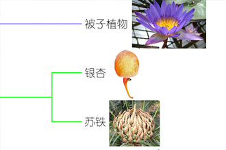 未标题-1.jpg