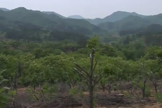 未标题-1.jpg